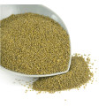 Bird Feed Green Millet In Husk para la venta